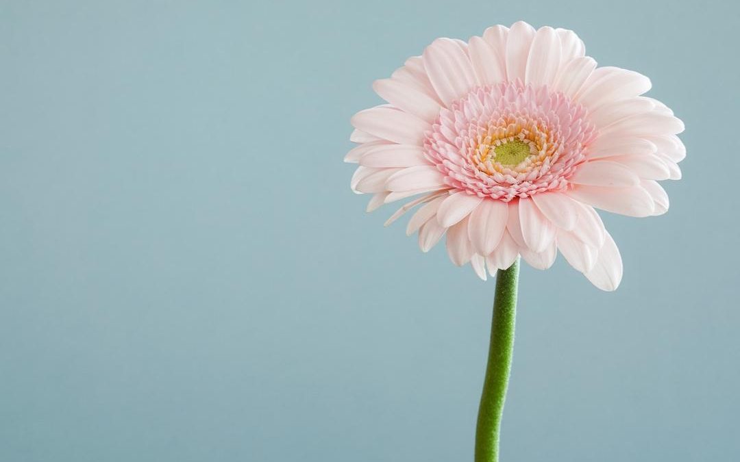 A hands-on approach: Success with a Mother’s Day Facebook campaign